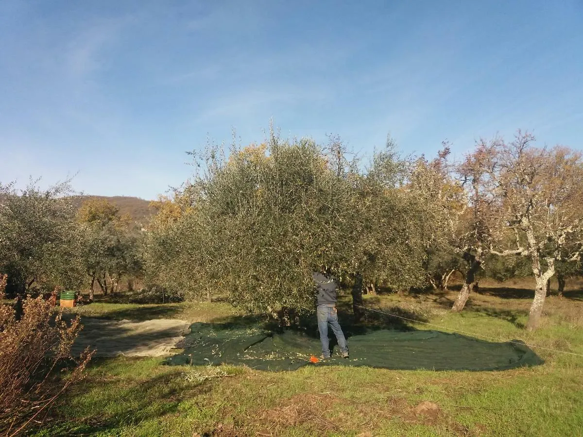 Borgo San Michele Incisa Tuscany Incisa in Val d'Arno Holiday home